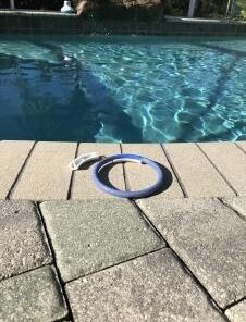 Fayoo 23 Pack Underwater Swimming/Diving Pool Toys Diving Rings(4 Pcs), Toypedo Bandits(4 Pcs), Diving Sticks(3 Pcs) with Under Water Treasures (12 Pcs) Gift Set Bundle 16 41G2fcmWg5L