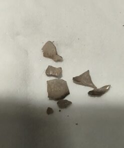 Vet’s Best Enzymatic Dog Toothpaste | Teeth Cleaning and Fresh Breath Dental Care Gel | Vet Formulated | 3.5 Ounces 1 Count 48 41GhB1IL3TL