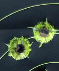 Birchwood Casey Bull's-Eye Reactive Targets - Highly Visible Instant Feedback Self-Adhesive Shooting Targets One Size 60 Targets, 720 Pasters 20 41HcWGmCfSL