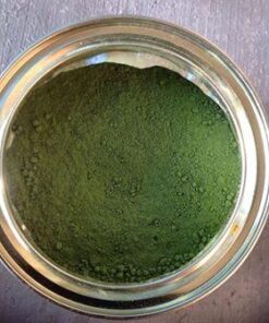 Organic Veda Moringa Powder – 100% Pure and Organic USDA Certified Moringa Leaf Powder for Overall Health – Non-GMO Whole Green Super Food Nutrition to Boost Immunity, 1lb (Pack of 1) 37 41Hd30SVfNL