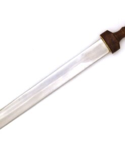 Medieval Warrior Roman Pompeii Sword with Scabbard Mirror Polished Steel Blade 8 41I1CsTN9KL