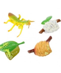 Alternative view of Praying Mantis 4 Piece Life Cycle Figures - 2" Bug Toys by Insect Lore