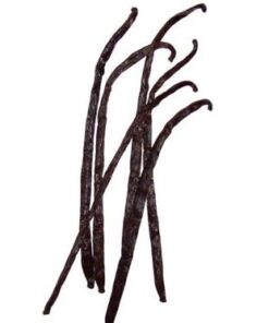 Bickford Flavors 4X Pure Vanilla Extract (4 Fl. Oz.) 4 Fl Oz (Pack of 1) 7 41I8kEbuqkL