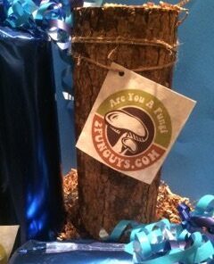 12" Mushroom Log DIY Shiitake Mushrooms Ready to Grow Your Own 20 41IPS1p IsL