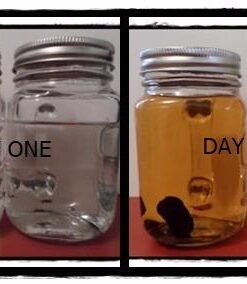 Oak Infusion Spiral Barrel Aged in a Bottle Oak Infusion Spiral, Brown 18 41IcOOqRmHL