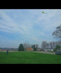 Large Easy Flyer Kite - T-Rex Dinosaur (46" X 90") with 300 Ft 30lb Test Kite String and Winder 6 41K65IWsseL