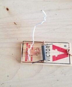 Victor m154 metal pedal mouse trap (8) 8 Traps 18 41KO mAlPNL