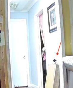 Kat Sense Rat Traps That Work Indoor & Outdoor for Instant Kill Results, Set of 8 Large Reusable Snap Traps for Mice Chipmunks 'N Squirrels 8 Piece 27 41KkUIVaHiL