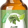 Healing Solutions 30ml Oils - Sage Essential Oil - 1 Fluid Ounce 1 Fl Oz (Pack of 1) 33 41KqwMgMW3L