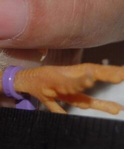 Alternative view of Electriduct Nylon Cable Ties - 4" Self-Locking Zip Ties Multi Color: (Blue, Red, Green, Yellow, Fuchsia, Orange, Gray, Purple) - 500 Pieces 4 Inch - 500 Pack 10 Color