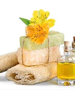 Starwest Botanicals Organic Nettle Leaf Tea Loose Cut and Sifted, 1 Pound Bulk 1 Pound (Pack of 1) 8 41LGz HbN8S