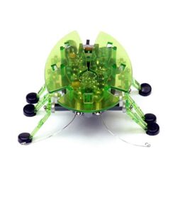 HEXBUG Beetle 11 41Ldg6JhCOL
