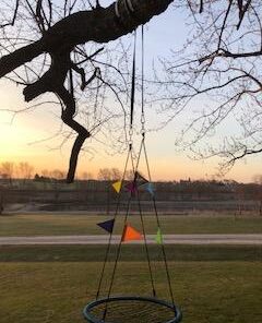 Royal Oak Giant 40" Spider Web Tree Swing, 600 lb Weight Capacity, Durable Steel Frame, Waterproof, Adjustable Ropes, Bonus Flag Set and 2 Carabiners, Non-Stop Fun for Kids (Blue) Blue 38 41LemsESquL