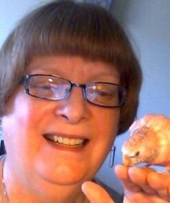 The Mystery of the Shemitah: The 3,000-Year-Old Mystery That Holds the Secret of America's Future, the World's Future, and Your Future! 7 41M6a181SOL