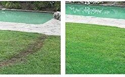 Hydro Mousse - Liquid Lawn Refill Pack, 2lb Bag (Covers 400sq. ft.) 15 41MbPYJwusL