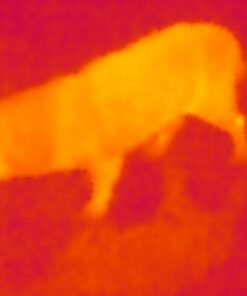 Seek Thermal CompactXR – Outdoor Thermal Imaging Camera for Android MicroUSB, Black (UT-AAA) 69 41MtN9VwibL