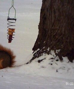 Eoncore 2" LCD Display Digital Binoculars Camera 12x32 5MP Video Photo Recorder Digital Camera Telescope for Watching Bird, Football Game with 8GB TF Card 22 41N7UVKkuL