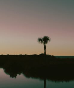 52MM 0.43x Altura Photo Professional HD Wide Angle Lens (w/Macro Portion) for Nikon D7100 D7000 D5500 D5300 D5200 D5100 D3300 D3200 D3100 D3000 DSLR Cameras 52MM 60 41NTF52xdL