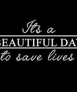 Grey's It's A Beautiful Day to Save Lives Derek Shepherd 6" Vinyl Sticker Car Decal (6" Black)