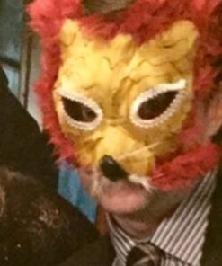 Fun Express Deluxe Feather Mask Assortment (1 Dozen)(Discontinued by manufacturer) 18 41OCnshhIHL