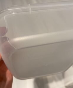 EasyLunchboxes® - Bento Lunch Boxes - Reusable 3-Compartment Food Containers for School, Work, and Travel, Set of 4 (Brights) Brights 34 41OP5UipdZL