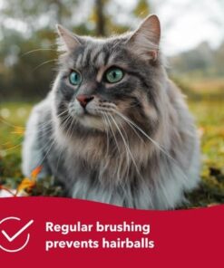 Coastal Pet Safari Cat Shedding Comb - Prevents Hairballs - Daily-Use Cat Deshedding Brush - For Cats with Short and Long Hair - One Size 25 41OztIjHMAL