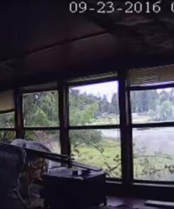 Zmodo Outdoor Security Cameras Wifi - 1080p Full HD Surveillance Cameras for Home Security with Night Vision, IP 66 Weatherproof, Plug-In, Motion Detection, 4 Pack 4 Count (Pack of 4) 54 41PUUVML4cL