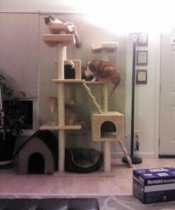 Go Pet Club Cat Tree, 50W x 26L x 72H, Beige 40 41QQ1ZJg7xL