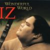 IZ Wonderful World 4 41RA5jJjbLL