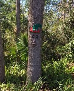 Beistle 20736 Felt Elf Hat with Bells, One Size Fits Most, (Red/Green) 1 Piece 11 41Rl 1lHJL