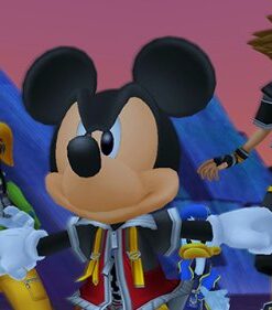 Kingdom Hearts HD 2.5 ReMIX - PlayStation 3 Standard 23 41RqDyVNNcL