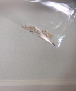 World's Best Cat Litter, Clumping Litter Formula, 28-Pounds 40 41RwAepTbVL