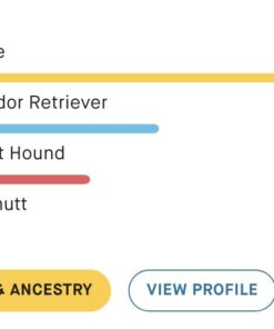 Embark Breed Identification Kit | Most Accurate Dog DNA Test | Test 350+ Dog Breeds | Breed ID Kit with Ancestry & Family Tree 45 41RyKdjCiPL