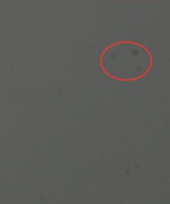 Altura Photo Professional Camera Cleaning Kit APS-C DSLR & Mirrorless Cameras - Camera Lens Cleaner w/Sensor Cleaning Swabs & Case, Works as Camera Lens Cleaning Kit, Camera Cleaner, Sensor Cleaner 75 41S7qb848rL