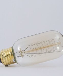 Bulbrite Incandescent T14 Medium Screw Base (E26) Light Bulb, 40 Watt, Antique 40 Watts 14 41TULamsDL