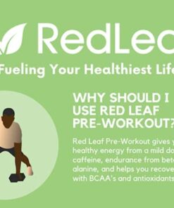 Red Leaf Pre Workout Energizer Powder, BCAA's, Beta-Alanine, Amino Acids and Green Tea for Immune Support and Preworkout Energy, Natural Cranberry Lime Flavor - 30 Servings 23 41U0VblAjVL
