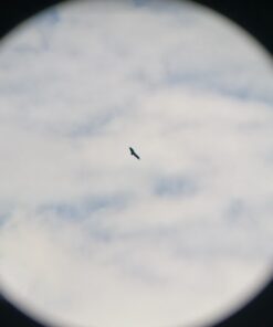 Celestron - SkyMaster Giant 15x70 Binoculars Astronomy Binoculars - Binoculars for Stargazing and Long Distance Viewing - Includes Tripod Adapter and Case SkyMaster 15x70 Binocular Binocular only 46 41U0WHVmkOL