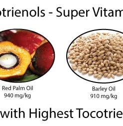 Berry Beautiful Cranberry Seed Oil - Moisturizing Oil for Face, Body & Hair - Cold Pressed from US grown Cranberries - 4 fl oz 4.00 Fl Oz (Pack of 1) 5 41UIodrWAGL