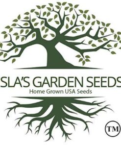 Mammoth Grey Stripe Sunflower Flower Seeds, 50+ Heirloom Seeds Per Packet, (Isla's Garden Seeds), Non GMO Seeds, Botanical Name: Helianthus annuus 23 41UeJOL5L 1