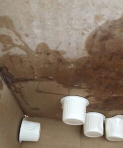 Nestle Coffee mate Coffee Creamer, Original, Liquid Creamer Singles, Non Dairy, No Refrigeration, Box of 360 39 41Uxizj13CL