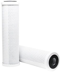2-Pack compatible for WaterPur CCI-10-CLW Activated Carbon Block Filter - Universal 10 inch Filter for WaterPur Clear Water Filter Housing by CFS