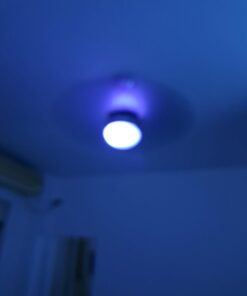 Amazon Basics - Smart A19 LED Light Bulb, 2.4 GHz Wi-Fi, 7.5W (Equivalent to 60W) 800LM, Works with Alexa Only, 1-Pack, Certified for Humans, Multicolor Color Changing 1 Pack 23 41V14iH0LyL