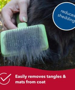 Coastal Pet Safari - Cat Self-Cleaning Slicker Brush - Cat Grooming Supplies Pack of 1 24 41V4pZNHhEL