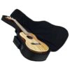 Hola! Music Heavy Duty CONCERT Ukulele Gig Bag (up to 24 Inch) with 15mm Padding, Black 6 41VUGv96lUL