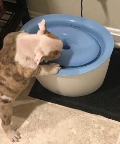 Dogit Replacement Drinking Water Fountain Filters, 3-Pack – Replacement Filters for Dogit Fresh & Clear Drinking Water Fountain and ZEUS H2EAU Elevated Dog and Cat Drinking Water Fountain 11 41WKGUJV6WL