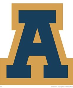 Cricut Everyday Die Cut Cartridge, Extreme Fonts 18 41X6UNzO1ZL