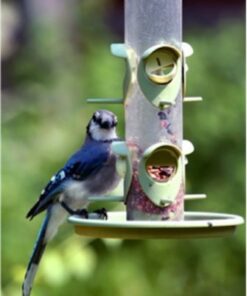 Wagner's 52002 Classic Blend Wild Bird Food, 10-Pound Bag 10 Pound (Pack of 1) 9 41XAEG bbXL 1