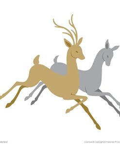 Cricut 2002175 Winter Wonderland Cartridge 18 41Xd pLNWvL