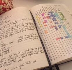 LEUCHTTURM1917 - Notebook Hardcover Medium A5-251 Numbered Pages for Writing and Journaling (Black, Ruled) Black 25 41XqIfZpxFL