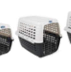 Petmate Compass Fashion Kennel Cat and Dog Kennel, 10-20 lb., Pearl White/Black, Made in USA 20.0"L x 12.5"W x 13.5"H 28 41YD5LdIYHL 1